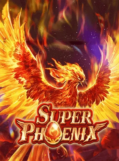 Speed bingo live game cover